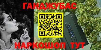 индика Будённовск