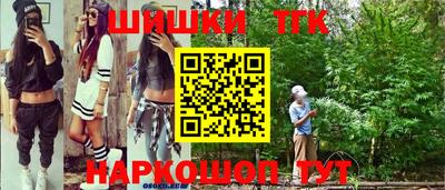 индика Будённовск